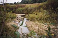 1998  Bank erosion on Flint Creek on Robert Yeager's property