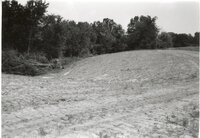 1995  Proposed Terracing Project site on Dale Edmonds' farm