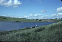Crawford Creek on a summer day, 1984
