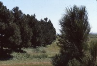 Carver farmstead.