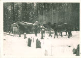 Expedition breaking camp in Washington state, The University of Iowa, 1920