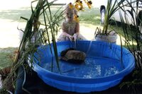 2008 - Fair Booth Plant Exhibit at the Des Moines County Fair   in Burlington, Iowa