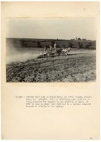 1937 - Three farmers on horse drawn wagon prepare the land for planting legumes by adding lime