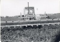 Weed control spraying