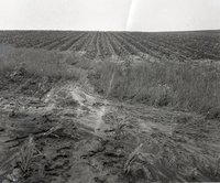 Erosion in a Field