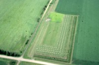 Windbreak on the farm of Don and Phyllis Conley.