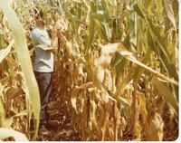 Tony Houston checks out corn