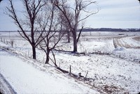 No-till field with winter snow cover.