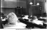 Botanical Laboratory, south room, Old Science Hall, The University of Iowa, 1900s