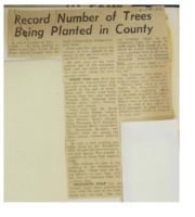 1966 - Record Number of Trees Being Planted