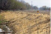 1999 Flint Creek Work Day  on Richard Osborn's property
