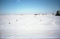 Snowy fields