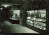 College of Pharmacy window displays, The University of Iowa, 1930s?