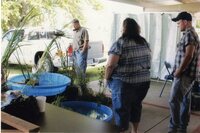 2008  Fair Booth worker Jay Jemison looks at plants in water displays with others.