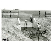 Jerry and Larry White, 1952