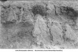 Iowan till over Kansan gumbotil, soil on top of the gumbotil, Wayne Township, Iowa, July 8, 1924