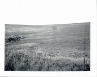 Haskey farmland