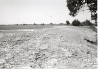1995 Terraces on Dale Edmonds' Farm