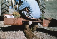 1987 Trees and grasses being planted
