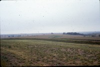 Terraces on Laverne Birch's farm.