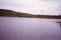 Lundquist farm pond and wildlife areas.