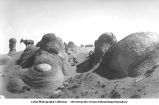 Exfoliating granite at Marklesville quadrangle at the summit of the Sierra Nevada, California, late 1890s or early 1900s
