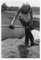 1978 Theresa Beckman in wagon with seed
