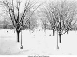 Old Capitol central walk, Iowa City, Iowa, between 1924 and 1970