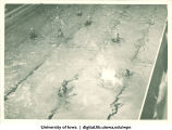Playing water polo, The University of Iowa, 1934