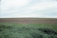 Residue contoured crops on the farm of Fred Conley.