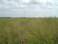 2007 Jack Strawhacker photos of pastures and ponds