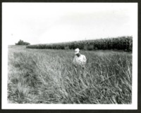 Reed Conary in a Grass Field