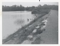 Photograph Collection Of Flooded Soap Creek, 1982 
