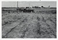 1976 Rural Scenes Photos by the Des Moines County Soil Conservation District