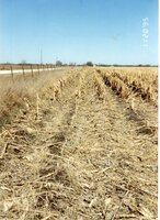 1995  Ridge-till Planting Tried in Field