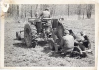 Planting walnut seedlings, 1978