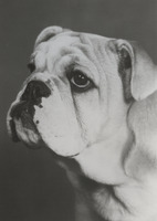 Darlene Stuedeman