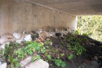 1993 Sandbags under bridge