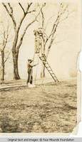 John trimming trees