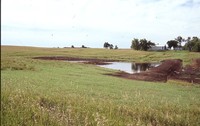 Wetland Project on Jeff Morrison's Farm.