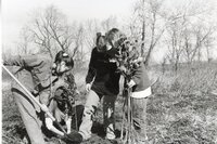 1999  Burlington High School Students plant trees