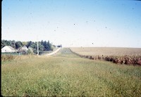 Grassed headland on the Peters-Schueder farm.