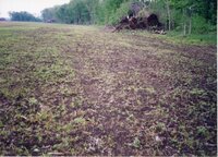 2002  Sodbust Wetland Violation