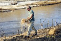 1999 Robert Yaeger Flint Creek Stream bank restoration