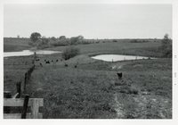 Photograph Collection Of Agricultural Land, 1973.