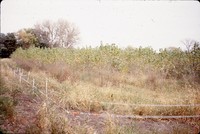 Electric fencing.