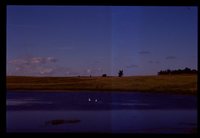 Wetland Restoration Project.
