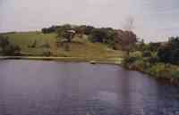 Farm Pond with Trees Across the Pond