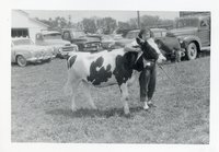 Girl with Cow