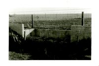 J.W. Robertson Wall, 1959
